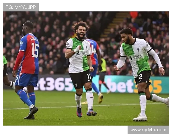 水晶宫俱乐部百年荣耀与英超赛场坚韧精神的深度探秘